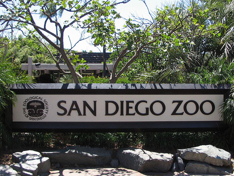 Зоопарк Сан-Диего